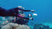 Sublue Tini Underwater Scooter - Rugged Venture