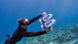 Sublue Tini Underwater Scooter - Rugged Venture