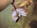 Sublue Anti-lost Lanyard - Rugged Venture