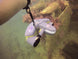 Sublue Anti-lost Lanyard - Rugged Venture