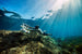 Sublue Tini Underwater Scooter - Rugged Venture