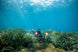Sublue Waterproof LED Light - Rugged Venture