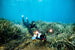 Sublue Waterproof LED Light - Rugged Venture
