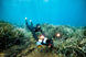 Sublue Waterproof LED Light - Rugged Venture