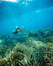 Sublue Waterproof LED Light - Rugged Venture