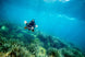Sublue Waterproof LED Light - Rugged Venture