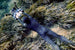Sublue Dual-ball Butterfly Clip - Rugged Venture
