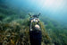 Sublue Waterproof LED Light - Rugged Venture
