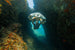 Sublue Mix Underwater Scooter - Rugged Venture