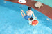 Sublue Swim Arm Band - Rugged Venture