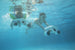 Sublue Swim Arm Band - Rugged Venture