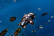 Sublue Navbow+ Underwater Scooter - Rugged Venture