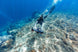 Sublue Navbow+ Underwater Scooter - Rugged Venture