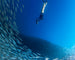 Sublue Navbow Underwater Scooter - Rugged Venture