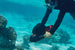 Sublue Vapor Underwater Scooter - Rugged Venture