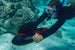 Sublue Vapor Underwater Scooter - Rugged Venture