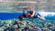 Sublue Navbow / Navbow+ / Tini  / Vapor Diving Cross Strap - Rugged Venture