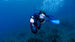 Sublue Vapor Underwater Scooter - Rugged Venture