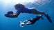 Sublue Vapor Underwater Scooter - Rugged Venture