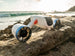 Sublue Mix Propeller Assembly - Rugged Venture