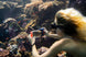 Sublue H1+ Smart Waterproof Phone Case - Rugged Venture