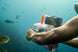 Sublue H1+ Smart Waterproof Phone Case - Rugged Venture