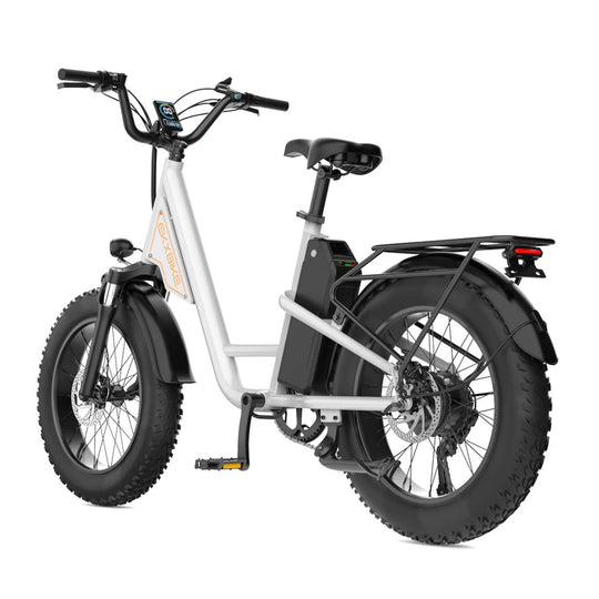 EKX L1 1000W 48V/15.6AH Electric Mountain Fat Tire Bike, 20" (SAK27491) - Rugged Venture