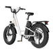 EKX L1 1000W 48V/15.6AH Electric Mountain Fat Tire Bike, 20" (SAK27491) - Rugged Venture