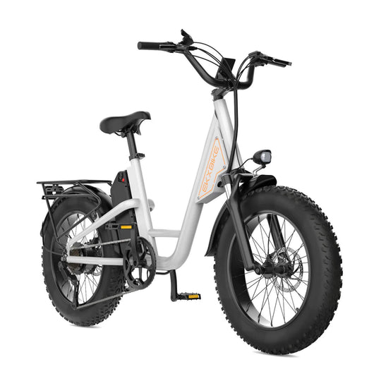 EKX L1 1000W 48V/15.6AH Electric Mountain Fat Tire Bike, 20" (SAK27491) - Rugged Venture
