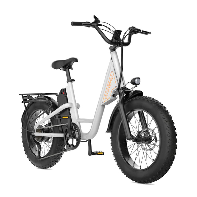 EKX L1 1000W 48V/15.6AH Electric Mountain Fat Tire Bike, 20" (SAK27491) - Rugged Venture