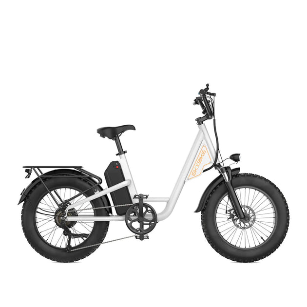 EKX L1 1000W 48V/15.6AH Electric Mountain Fat Tire Bike, 20" (SAK27491) - Rugged Venture
