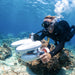 Sublue Tini Floater - Rugged Venture